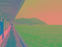 IMGP2638 edited (Medium)